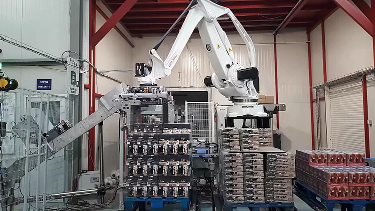 Project — automatic palletizing line with robot and AGV